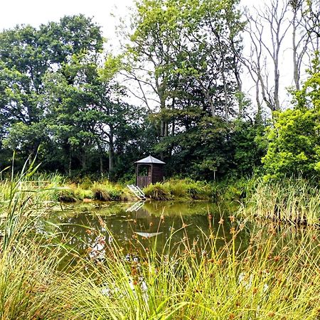 Charming Tranquil Shepherds Hut With Lakeside Balcony 'Roach' อัคฟิลด์ ภายนอก รูปภาพ