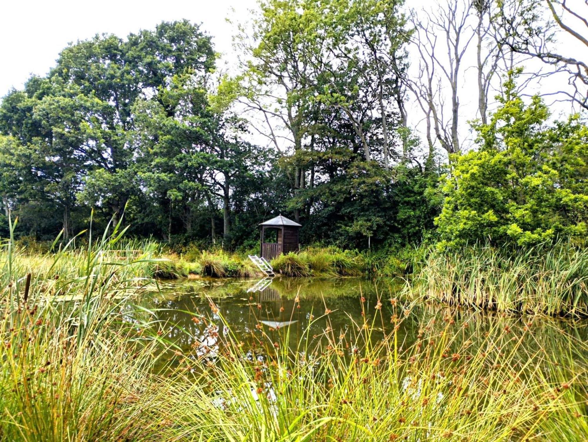 Charming Tranquil Shepherds Hut With Lakeside Balcony 'Roach' อัคฟิลด์ ภายนอก รูปภาพ